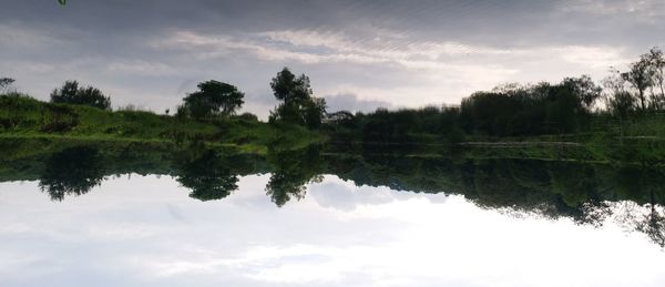 Scenic view of lake by trees against sky