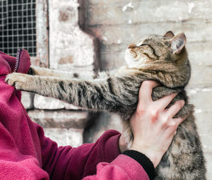 Low angle view of person hand holding cat