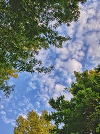 Low angle view of trees against cloudy sky