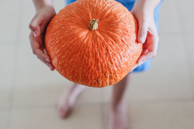 Close-up of hand holding food over white background