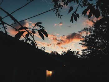 Silhouette of trees against dramatic sky