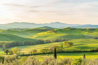 Rural morning landscape with fields and hills