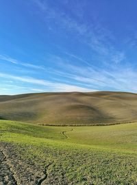 Scenic view of field against blue sky