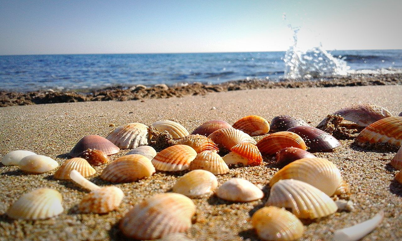 sea, beach, nature, water, shore, horizon over water, sand, beauty in nature, tranquility, outdoors, scenics, sunlight, tranquil scene, sky, day, no people, pebble beach