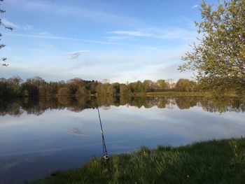 Reflection of trees in calm lake