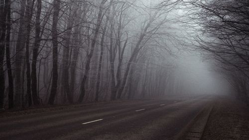 Road amidst trees in forest