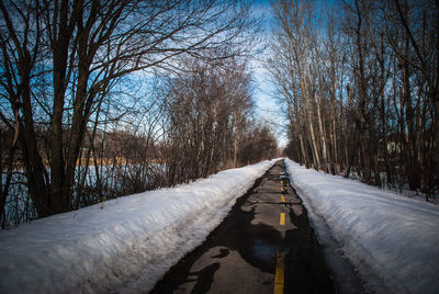 Snow covered road amidst bare trees against sky