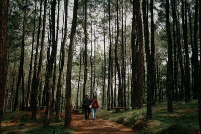 Rear view of man and woman walking in forest