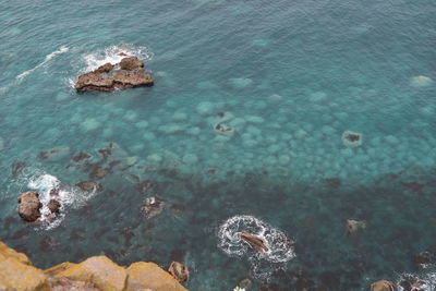 High angle view of rock in sea