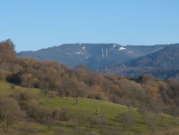 Scenic view of field against clear sky