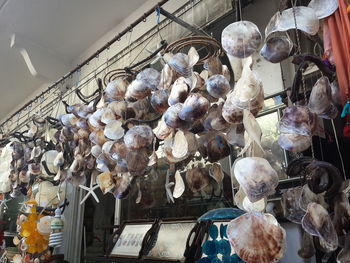 Low angle view of flowers for sale in market