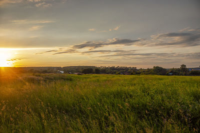 Scenic view of field against sky during sunset