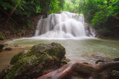 Scenic view of waterfall in forest