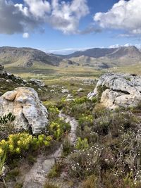 Scenic view of landscape against sky