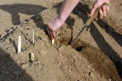 High angle view of hands working at beach