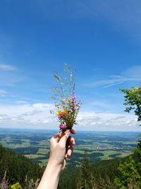 Woman holding flowers on mountain against sky