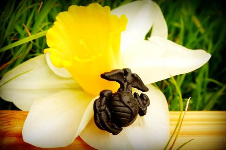 CLOSE-UP OF SNAKE ON FLOWER