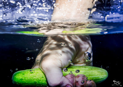 Close-up of fish swimming in sea