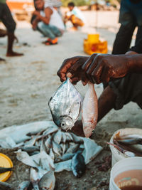 Close-up of fish