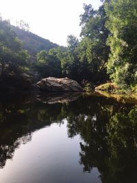 Reflection of trees in lake against sky