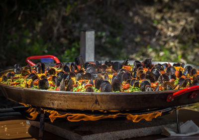 Close-up of mussels cooking in pan on gas stove burner outdoors