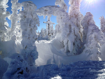 Winter wonderland in austria snow covered  trees skiing in kitzbühel 