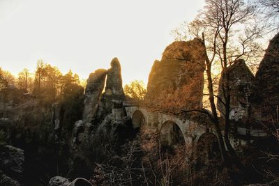 Panoramic view of trees on landscape against sky