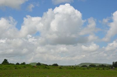 Scenic view of landscape against sky