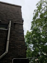 Low angle view of built structure