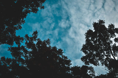 Low angle view of silhouette trees against sky