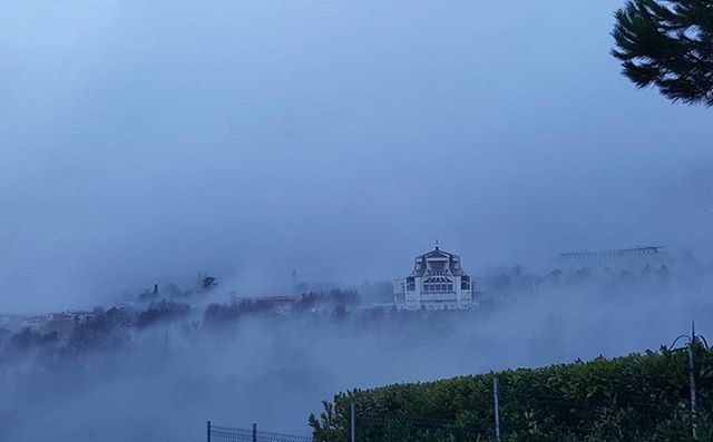 tree, fog, weather, foggy, built structure, architecture, nature, copy space, tranquility, beauty in nature, sky, building exterior, scenics, tranquil scene, winter, landscape, cold temperature, no people, day