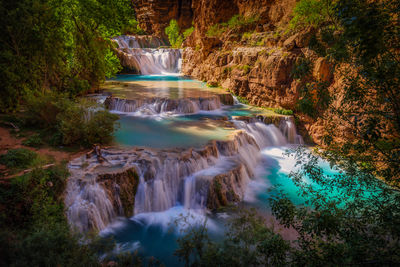 View of waterfall along trees