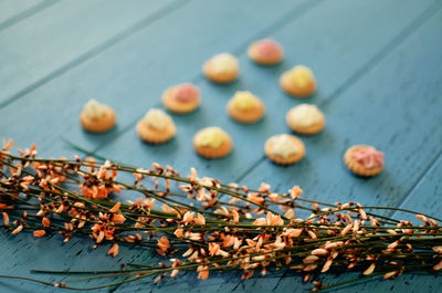 High angle view of berries on table