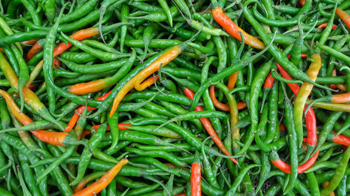 Directly above shot of chili peppers for sale in market