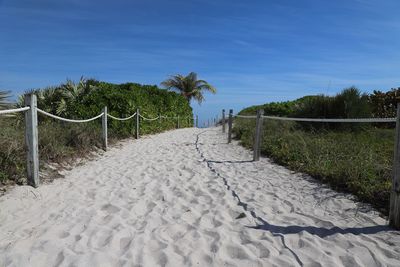 Footpath leading towards beach against blue sky