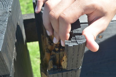 Cropped image of hand holding wood