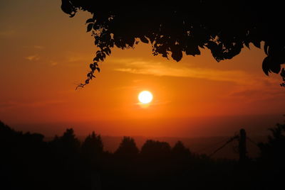 Silhouette trees against scenic sky during sunset