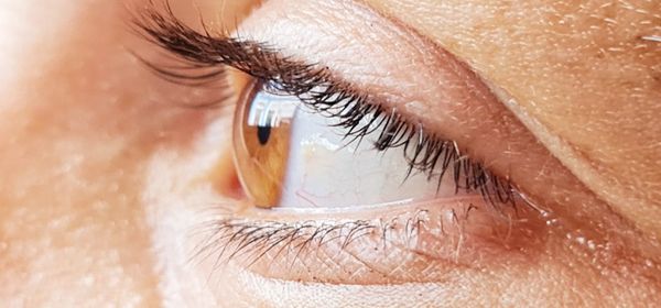 Close-up of woman eye