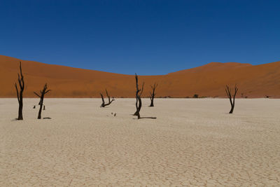 Scenic view of desert against clear sky