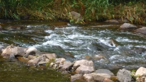 Stream flowing in river