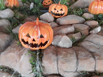 Pumpkins on rocks