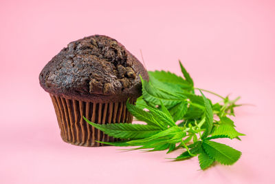 Close-up of cake against white background