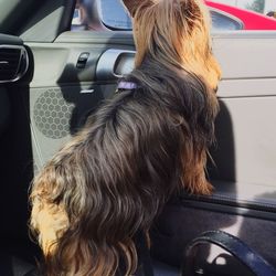 Woman driving car