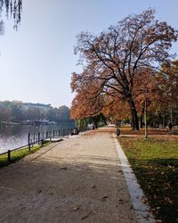 Road amidst trees against clear sky during autumn