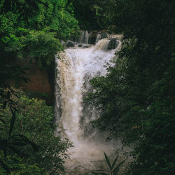 Scenic view of waterfall in forest