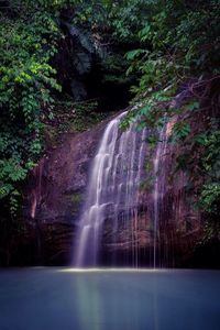 Waterfall in forest