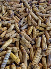 Full frame shot of corns