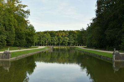 Reflection of trees in lake