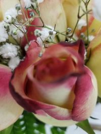 Close-up of rose bouquet