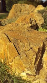 Close-up of rocks against blurred background